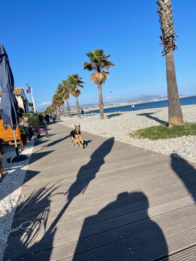 Villeneuve Loubet Plage- Entre Nice Et Cannes Екстериор снимка