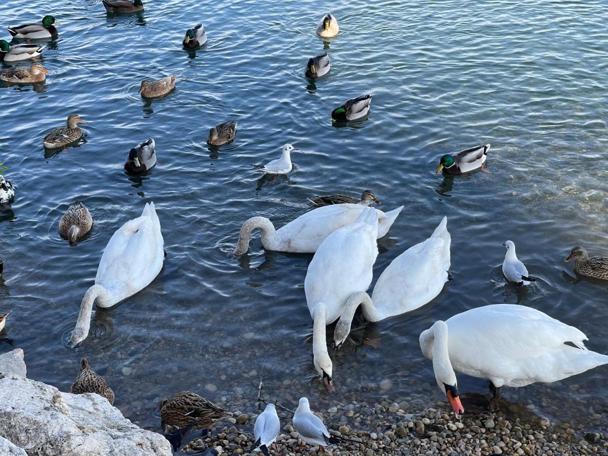 Villeneuve Loubet Plage- Entre Nice Et Cannes Екстериор снимка