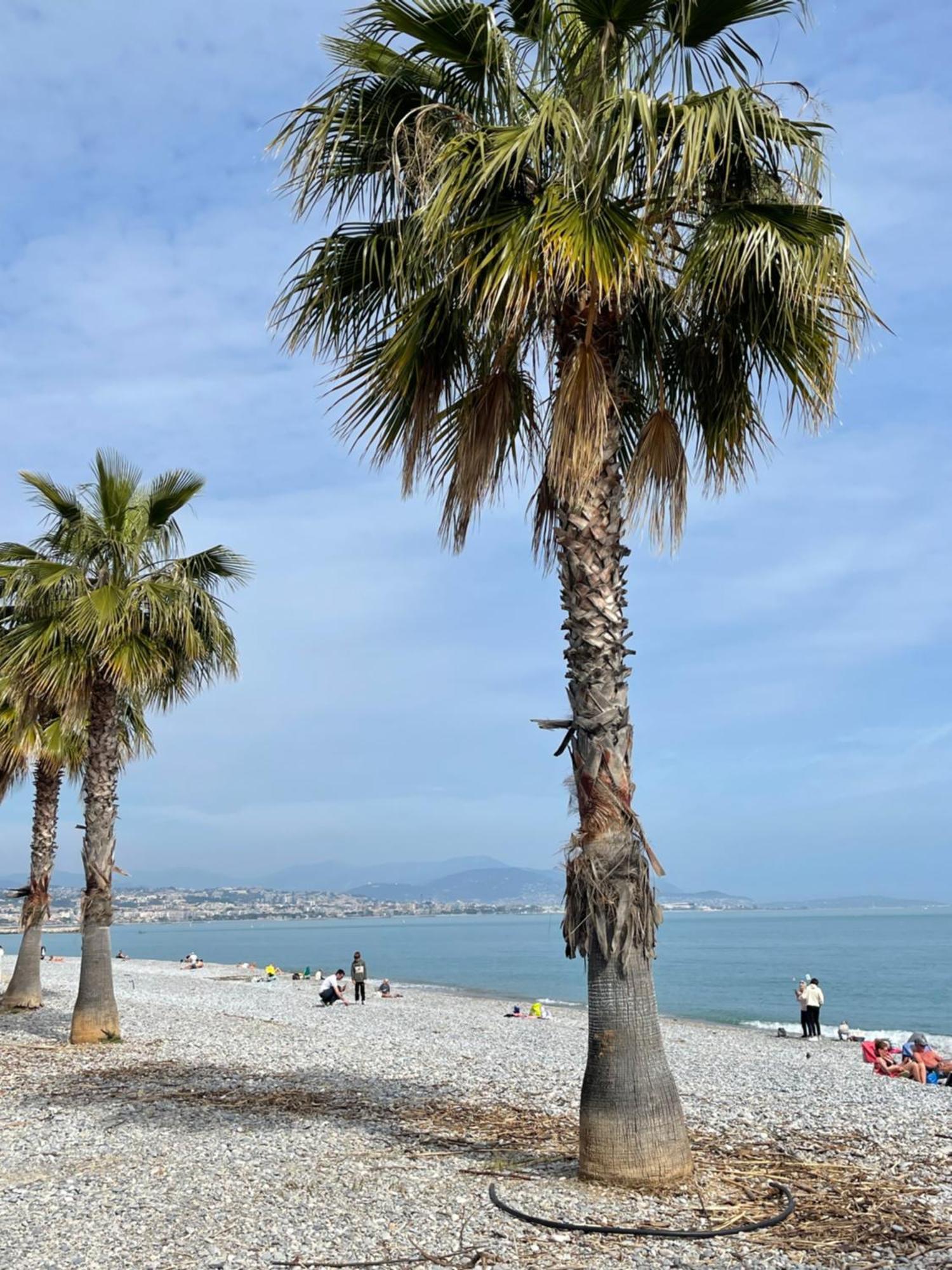 Villeneuve Loubet Plage- Entre Nice Et Cannes Екстериор снимка