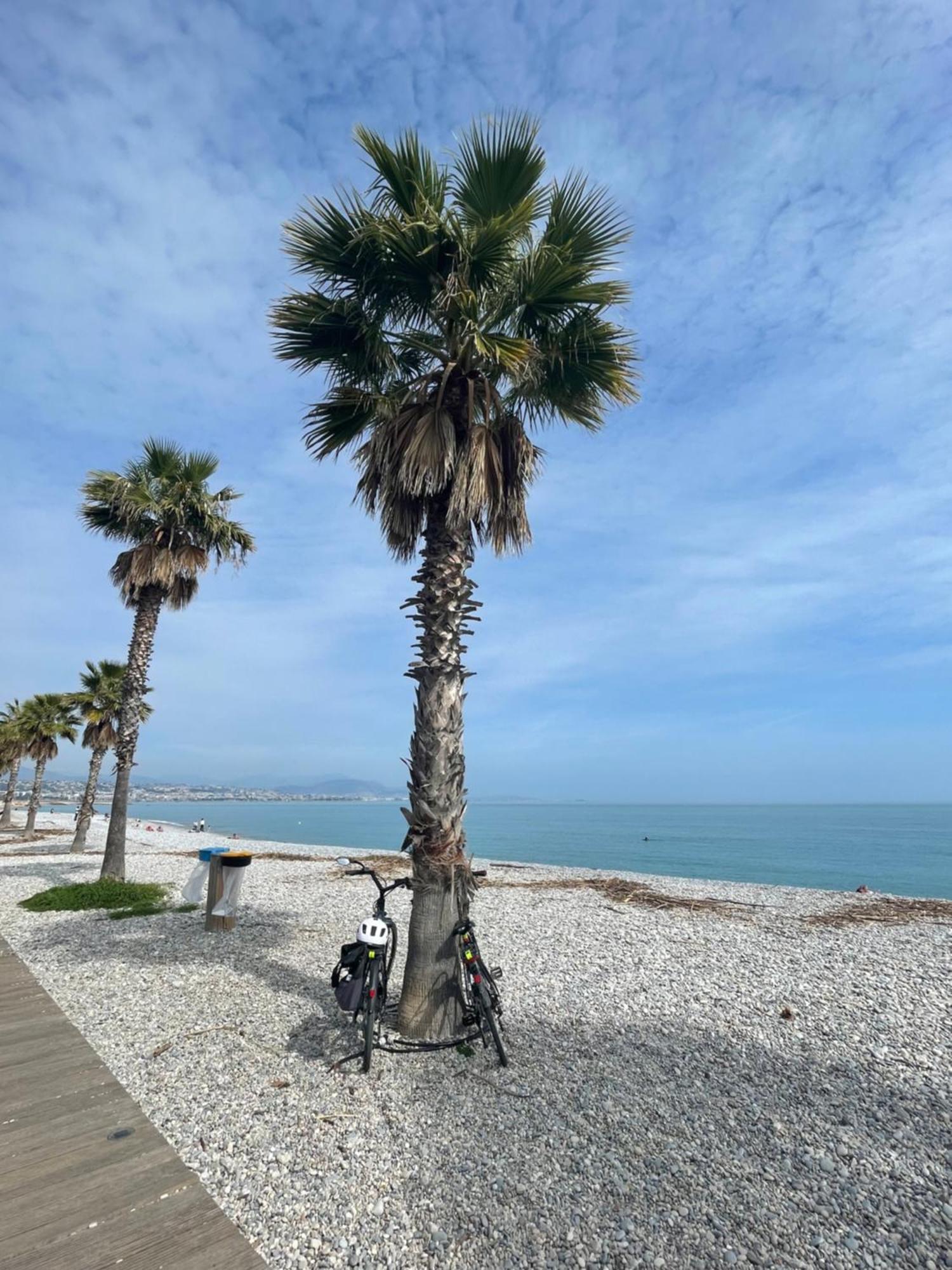 Villeneuve Loubet Plage- Entre Nice Et Cannes Екстериор снимка
