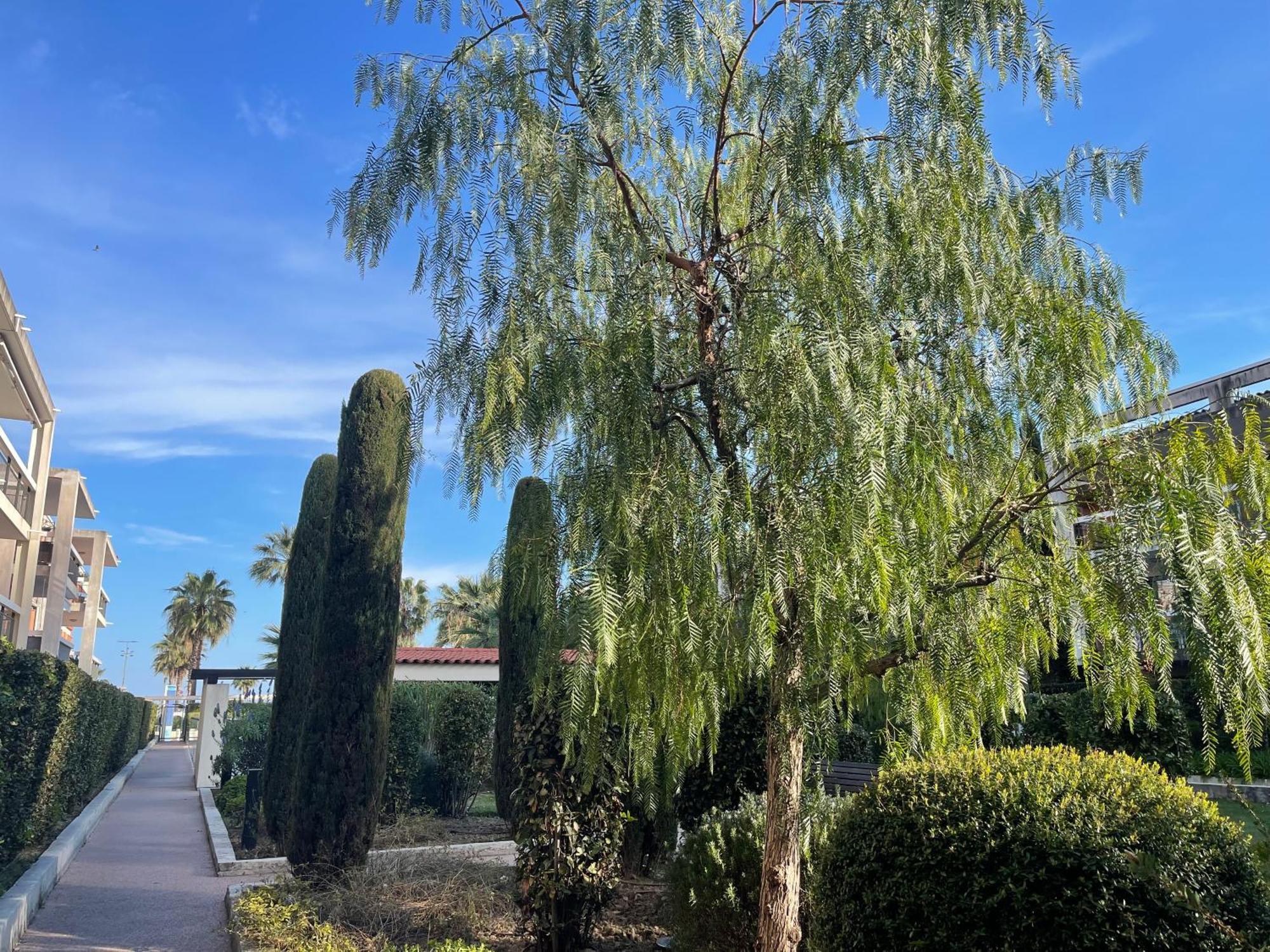 Villeneuve Loubet Plage- Entre Nice Et Cannes Екстериор снимка