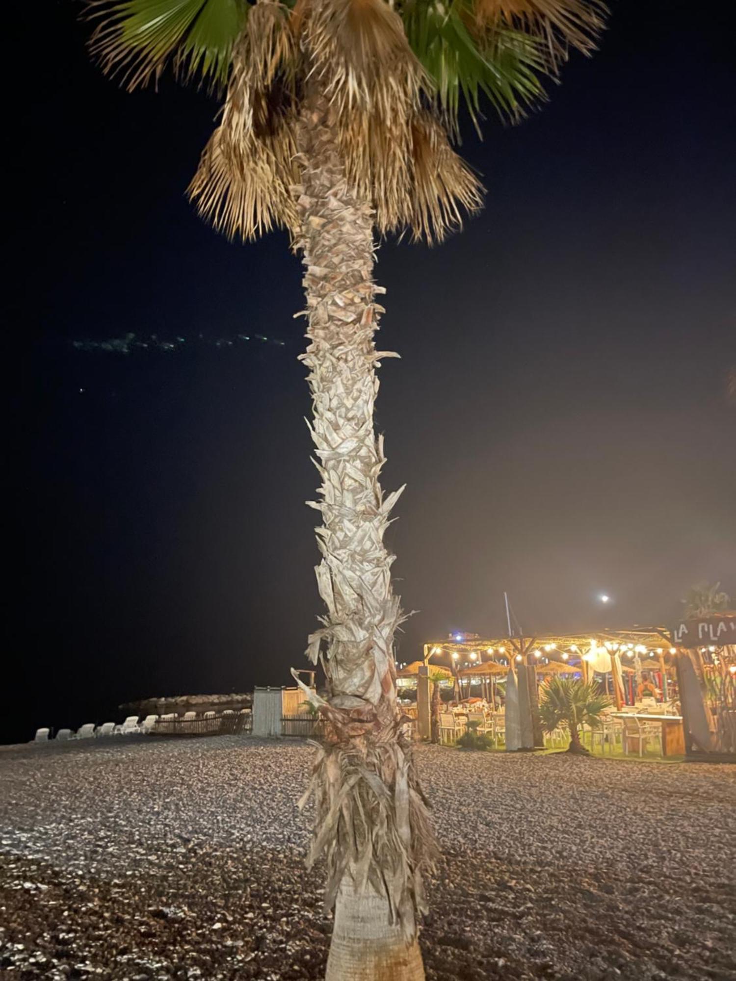 Villeneuve Loubet Plage- Entre Nice Et Cannes Екстериор снимка