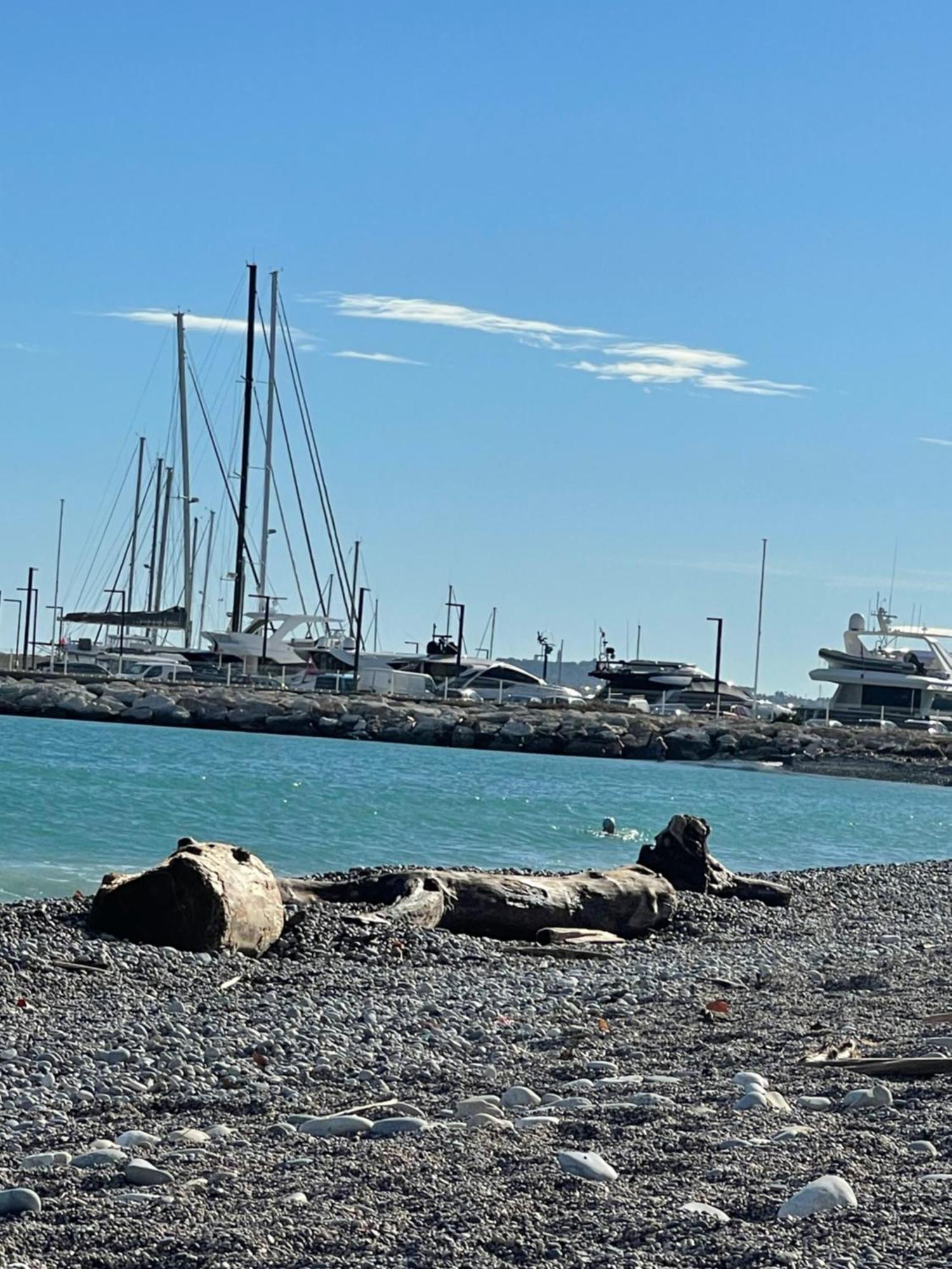 Villeneuve Loubet Plage- Entre Nice Et Cannes Екстериор снимка
