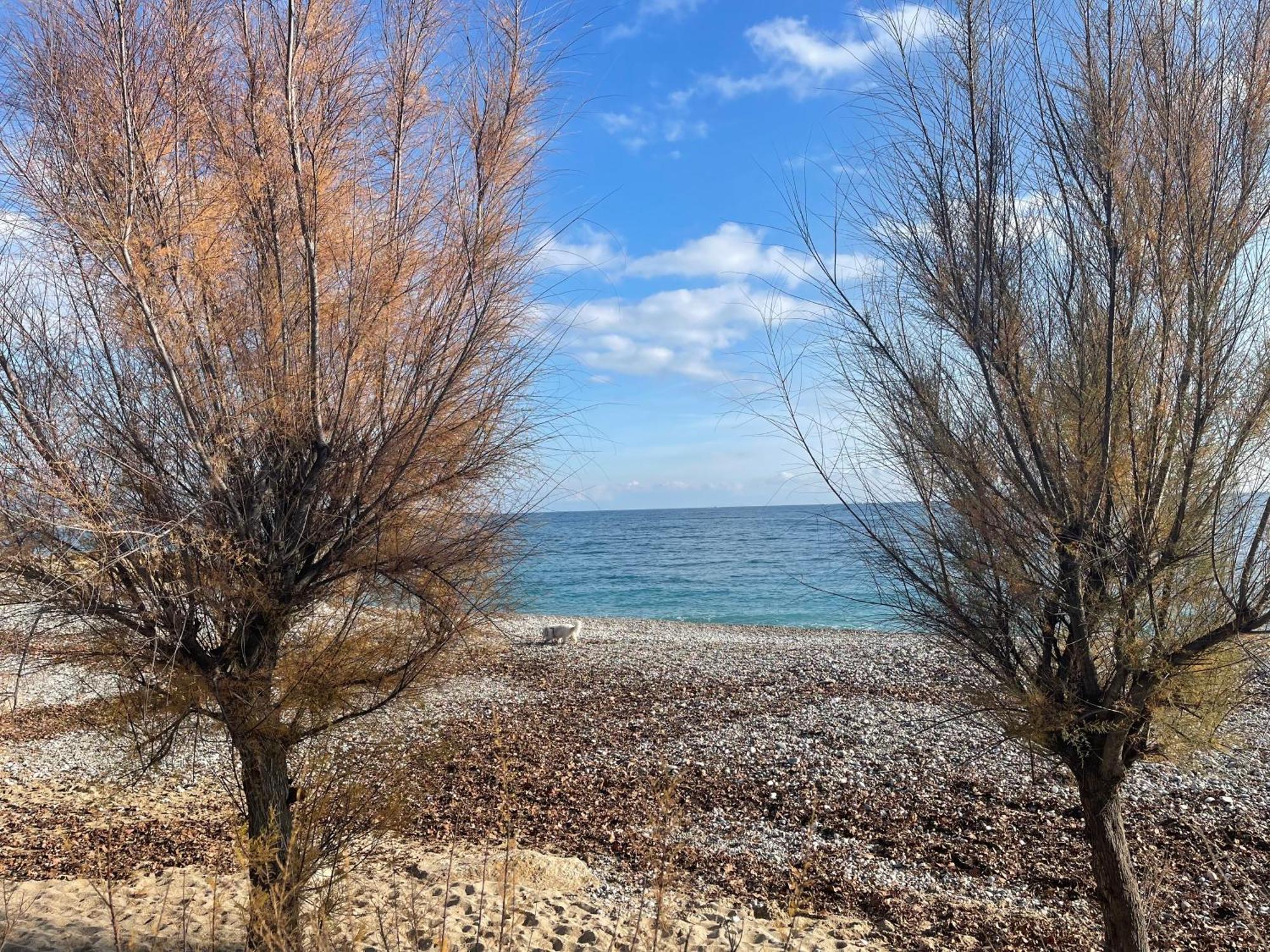 Villeneuve Loubet Plage- Entre Nice Et Cannes Екстериор снимка